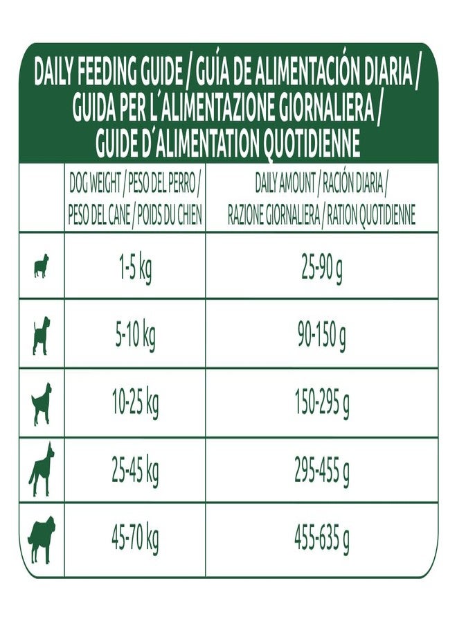 Libra Dog Adult Chicken 3 Kg from Affinity Petcare | Premium Dog Food | Complete and Balanced for Adult Dogs with Chicken - Image 5